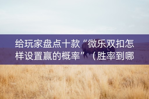 给玩家盘点十款“微乐双扣怎样设置赢的概率”（胜率到哪调)