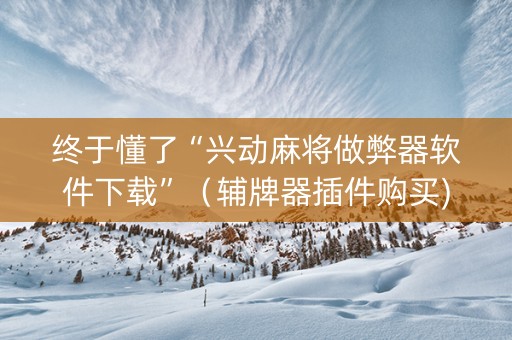 终于懂了“兴动麻将做弊器软件下载”（辅牌器插件购买)