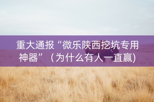 重大通报“微乐陕西挖坑专用神器”（为什么有人一直赢)