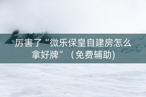 厉害了“微乐保皇自建房怎么拿好牌”（免费辅助)
