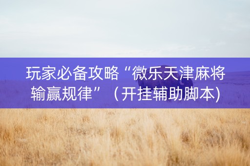 玩家必备攻略“微乐天津麻将输赢规律”（开挂辅助脚本)