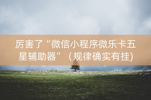 厉害了“微信小程序微乐卡五星辅助器”（规律确实有挂)