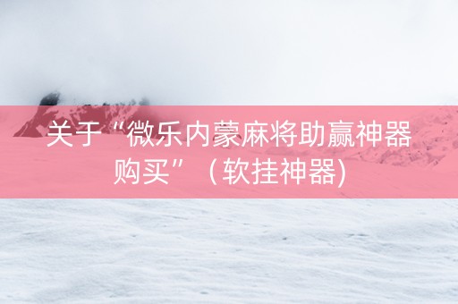 关于“微乐内蒙麻将助赢神器购买”（软挂神器)