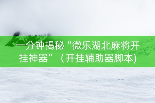 一分钟揭秘“微乐湖北麻将开挂神器”（开挂辅助器脚本)