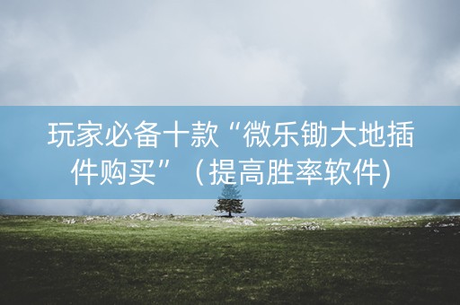 玩家必备十款“微乐锄大地插件购买”（提高胜率软件)