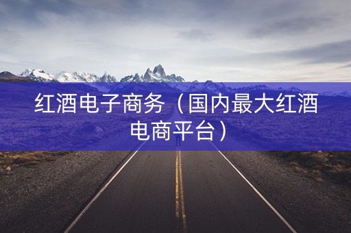 红酒电子商务（国内最大红酒电商平台）