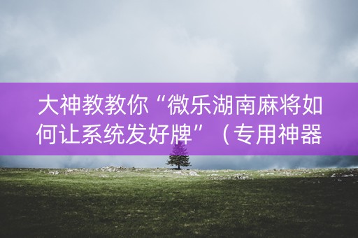 大神教教你“微乐湖南麻将如何让系统发好牌”（专用神器)
