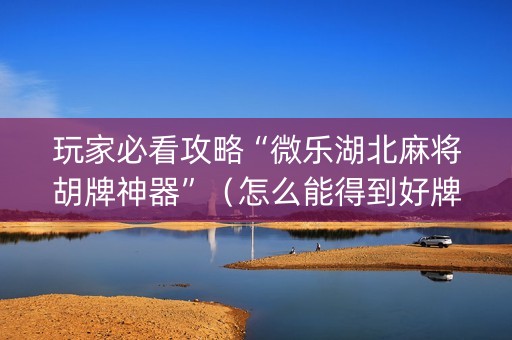 玩家必看攻略“微乐湖北麻将胡牌神器”（怎么能得到好牌)