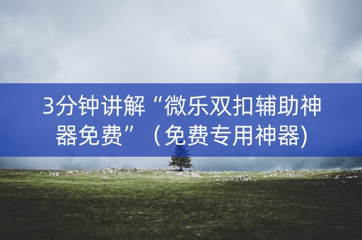 3分钟讲解“微乐双扣辅助神器免费”（免费专用神器)