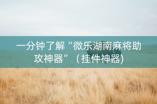 一分钟了解“微乐湖南麻将助攻神器”（挂件神器)