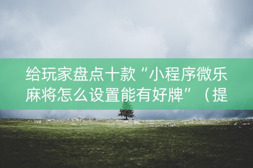 给玩家盘点十款“小程序微乐麻将怎么设置能有好牌”（提高胜率技巧)