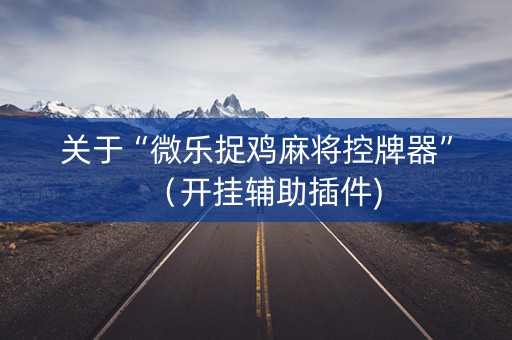 关于“微乐捉鸡麻将控牌器”（开挂辅助插件)