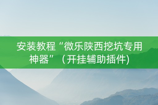 安装教程“微乐陕西挖坑专用神器”（开挂辅助插件)