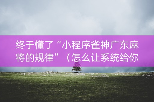 终于懂了“小程序雀神广东麻将的规律”（怎么让系统给你发好牌)