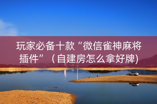 玩家必备十款“微信雀神麻将插件”（自建房怎么拿好牌)