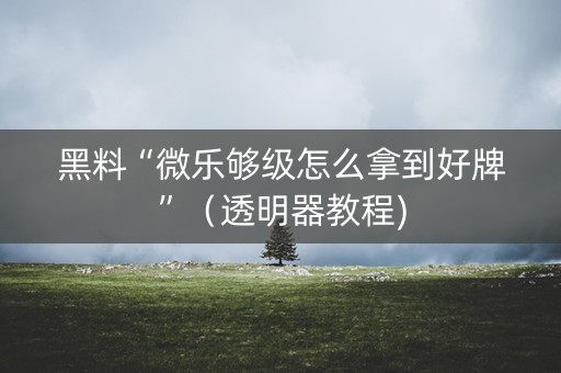 黑料“微乐够级怎么拿到好牌”（透明器教程)