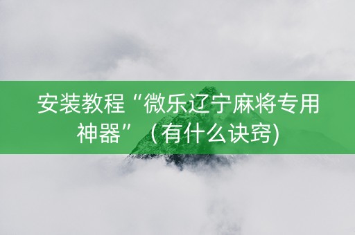 安装教程“微乐辽宁麻将专用神器”（有什么诀窍)