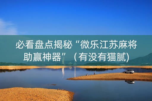 必看盘点揭秘“微乐江苏麻将助赢神器”（有没有猫腻)