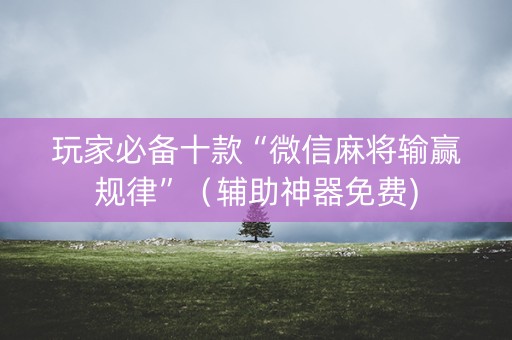 玩家必备十款“微信麻将输赢规律”（辅助神器免费)