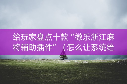 给玩家盘点十款“微乐浙江麻将辅助插件”（怎么让系统给自己好牌)