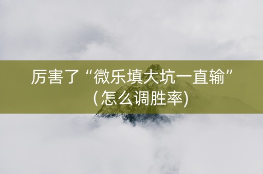 厉害了“微乐填大坑一直输”（怎么调胜率)