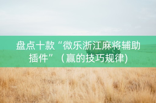 盘点十款“微乐浙江麻将辅助插件”（赢的技巧规律)