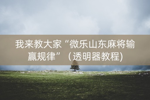我来教大家“微乐山东麻将输赢规律”（透明器教程)