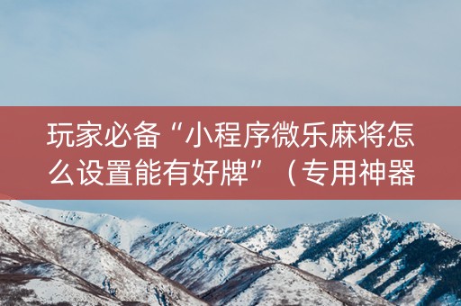 玩家必备“小程序微乐麻将怎么设置能有好牌”（专用神器)