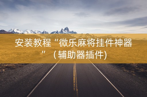 安装教程“微乐麻将挂件神器”（辅助器插件)