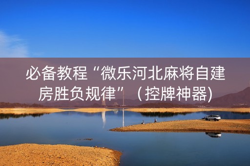 必备教程“微乐河北麻将自建房胜负规律”（控牌神器)