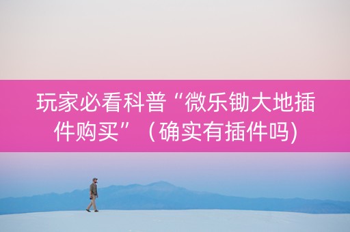 玩家必看科普“微乐锄大地插件购买”（确实有插件吗)