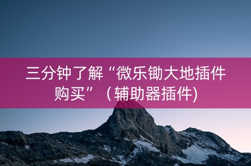 三分钟了解“微乐锄大地插件购买”（辅助器插件)