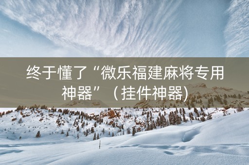 终于懂了“微乐福建麻将专用神器”（挂件神器)