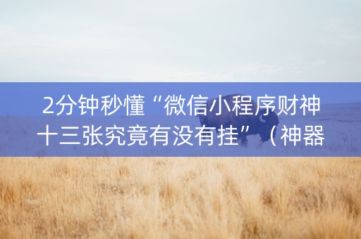 2分钟秒懂“微信小程序财神十三张究竟有没有挂”（神器通用版)