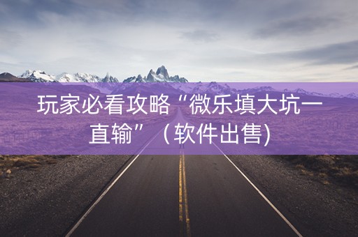 玩家必看攻略“微乐填大坑一直输”（软件出售)
