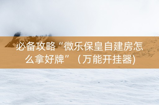必备攻略“微乐保皇自建房怎么拿好牌”（万能开挂器)