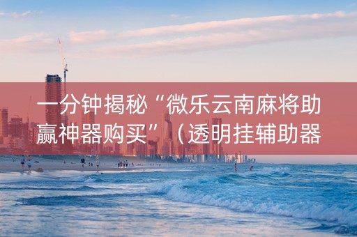一分钟揭秘“微乐云南麻将助赢神器购买”（透明挂辅助器)