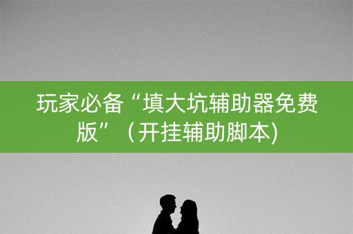 玩家必备“填大坑辅助器免费版”（开挂辅助脚本)