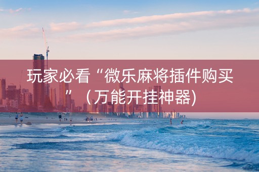玩家必看“微乐麻将插件购买”（万能开挂神器)