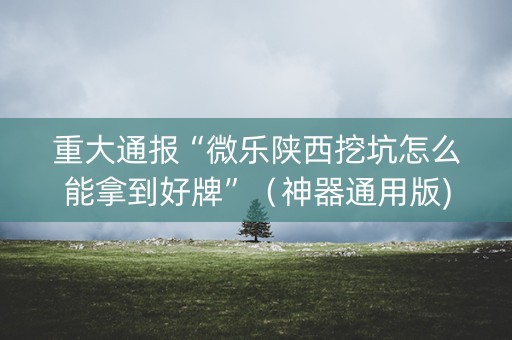 重大通报“微乐陕西挖坑怎么能拿到好牌”（神器通用版)