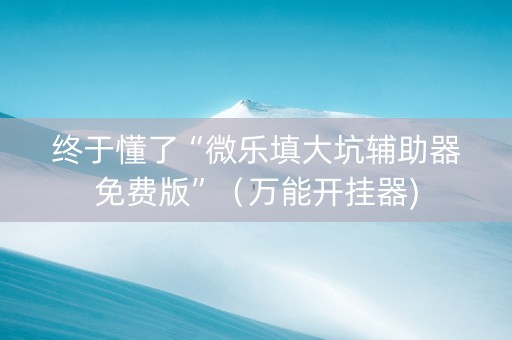 终于懂了“微乐填大坑辅助器免费版”（万能开挂器)
