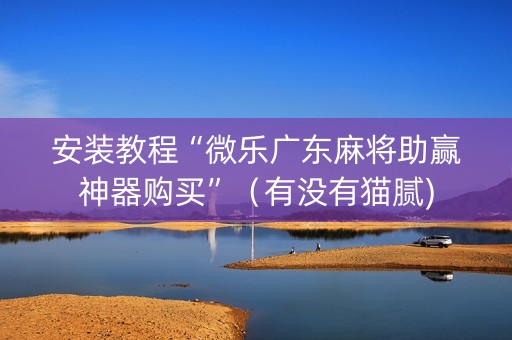 安装教程“微乐广东麻将助赢神器购买”（有没有猫腻)