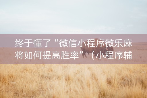 终于懂了“微信小程序微乐麻将如何提高胜率”（小程序辅助软件)