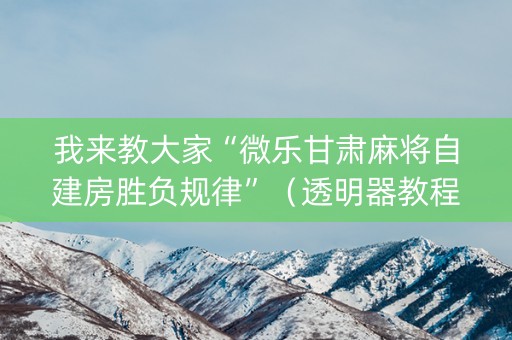 我来教大家“微乐甘肃麻将自建房胜负规律”（透明器教程)