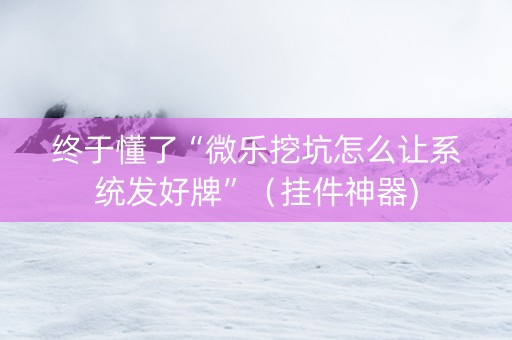 终于懂了“微乐挖坑怎么让系统发好牌”（挂件神器)