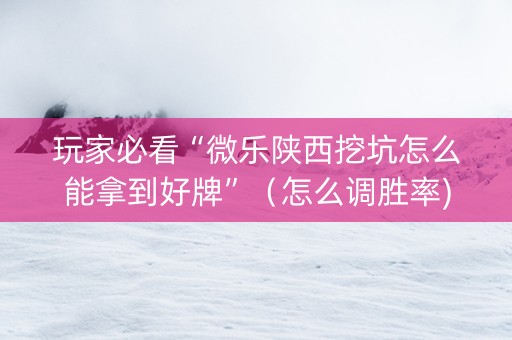 玩家必看“微乐陕西挖坑怎么能拿到好牌”（怎么调胜率)