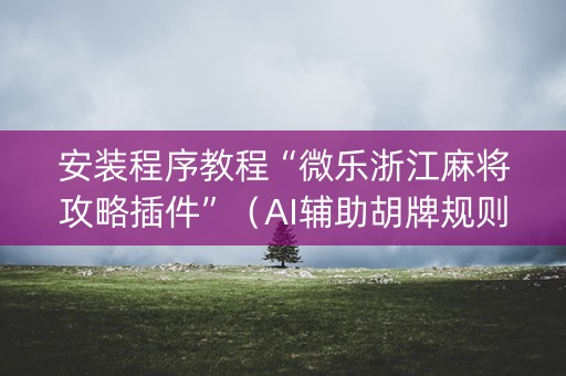 安装程序教程“微乐浙江麻将攻略插件”（AI辅助胡牌规则)