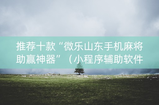 推荐十款“微乐山东手机麻将助赢神器”（小程序辅助软件)