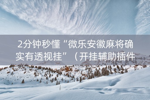 2分钟秒懂“微乐安徽麻将确实有透视挂”（开挂辅助插件)
