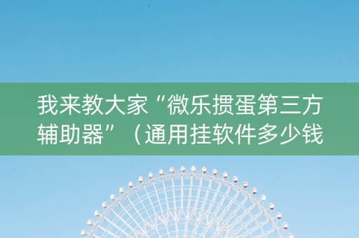我来教大家“微乐掼蛋第三方辅助器”（通用挂软件多少钱)